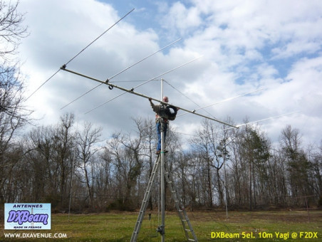 5 el. 10m Yagi