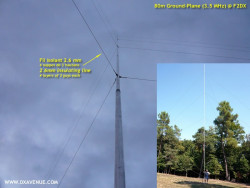 Guying F2DX 80m vertical antennas